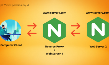 nginx reverse proxy