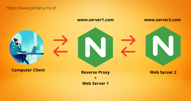 nginx reverse proxy