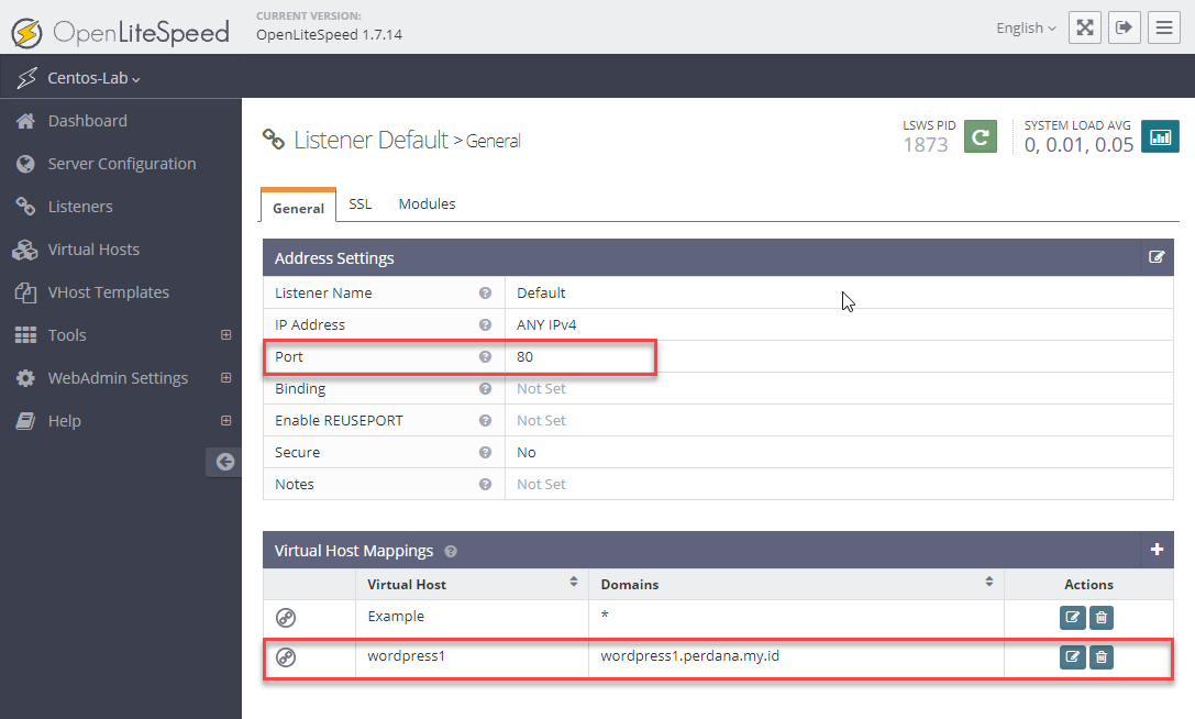 vhost openlitespeed mapping